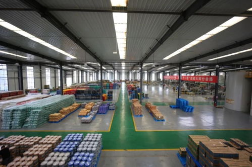 英萊殼智慧工廠 超凡技術全解密與信息技術開發深度融合